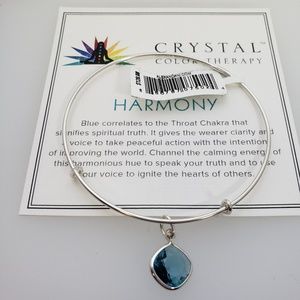 NWT Alex and Ani Precious Harmony Bangle Sterling